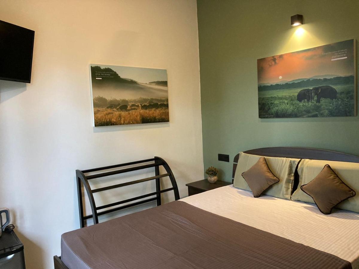 Star Gaze Lodge เอลลา ภายนอก รูปภาพ